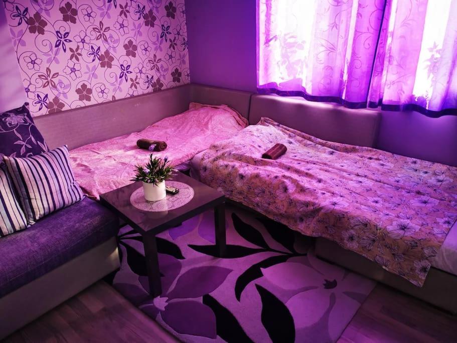 Apartment Lavender, Near To Airport Sofia Exterior photo